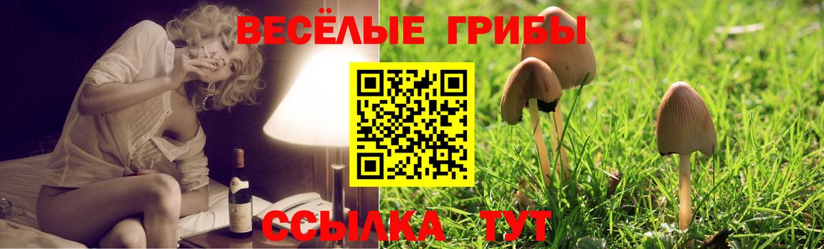 Галлюциногенные грибы MAGIC MUSHROOMS  наркотики  Назрань  Вход с VPN 